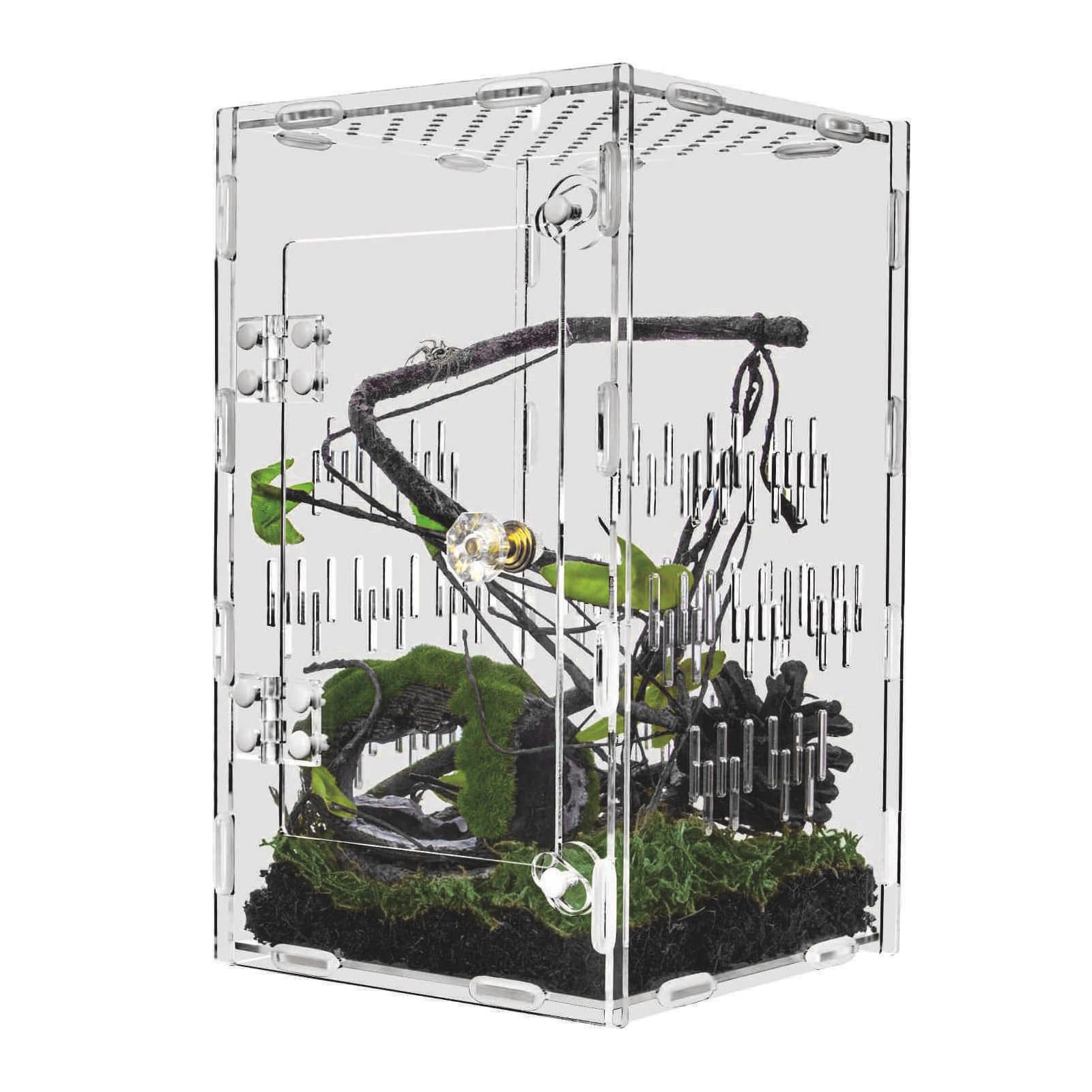Aération à 360 degrés pour ce réservoir acrylique de reptile avec trous visuels