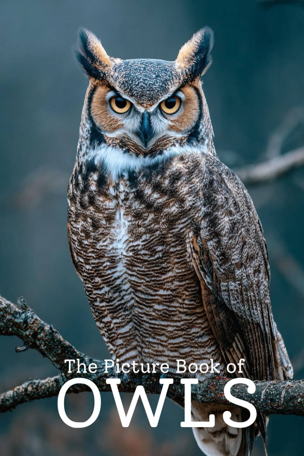 The Picture Book of Owls | Stunning Photo-Realistic Images of Beautiful Owls: A Premium 6x9 Inch Picture Book Featuring Lifelike Owl Photography for Wildlife Lovers and Nature Enthusiasts