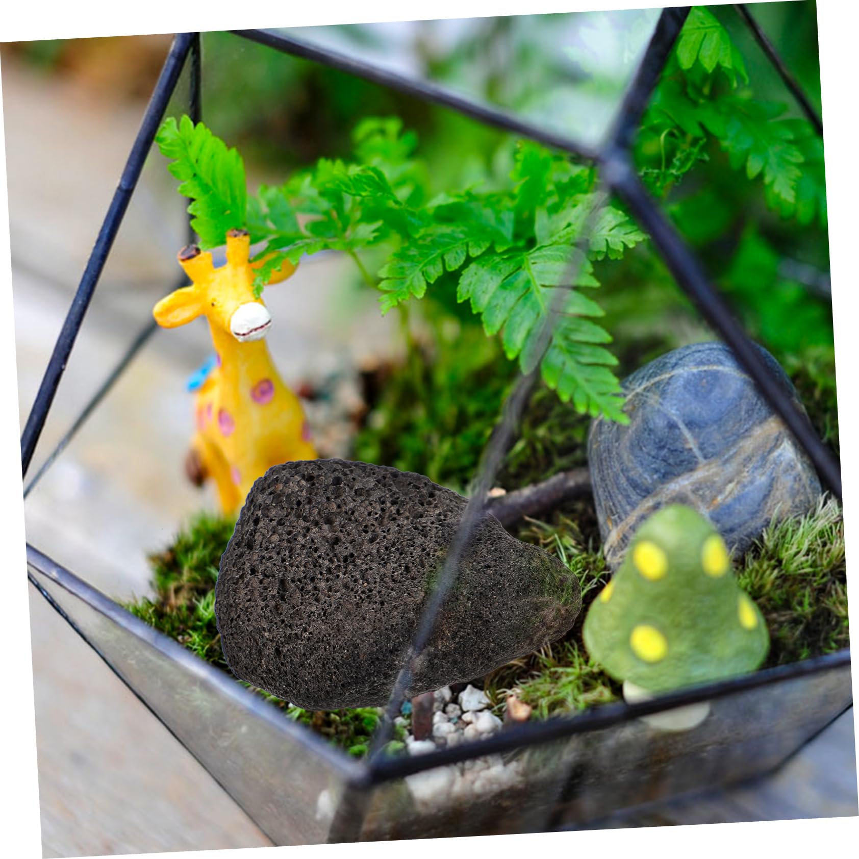Kisangel 5 Packungen Vulkansteine für Aquarien und Pflanzen Natürliche Deko Steine für Garten und Partykunst Langlebig Porös für Blumentöpfe und Arrangements