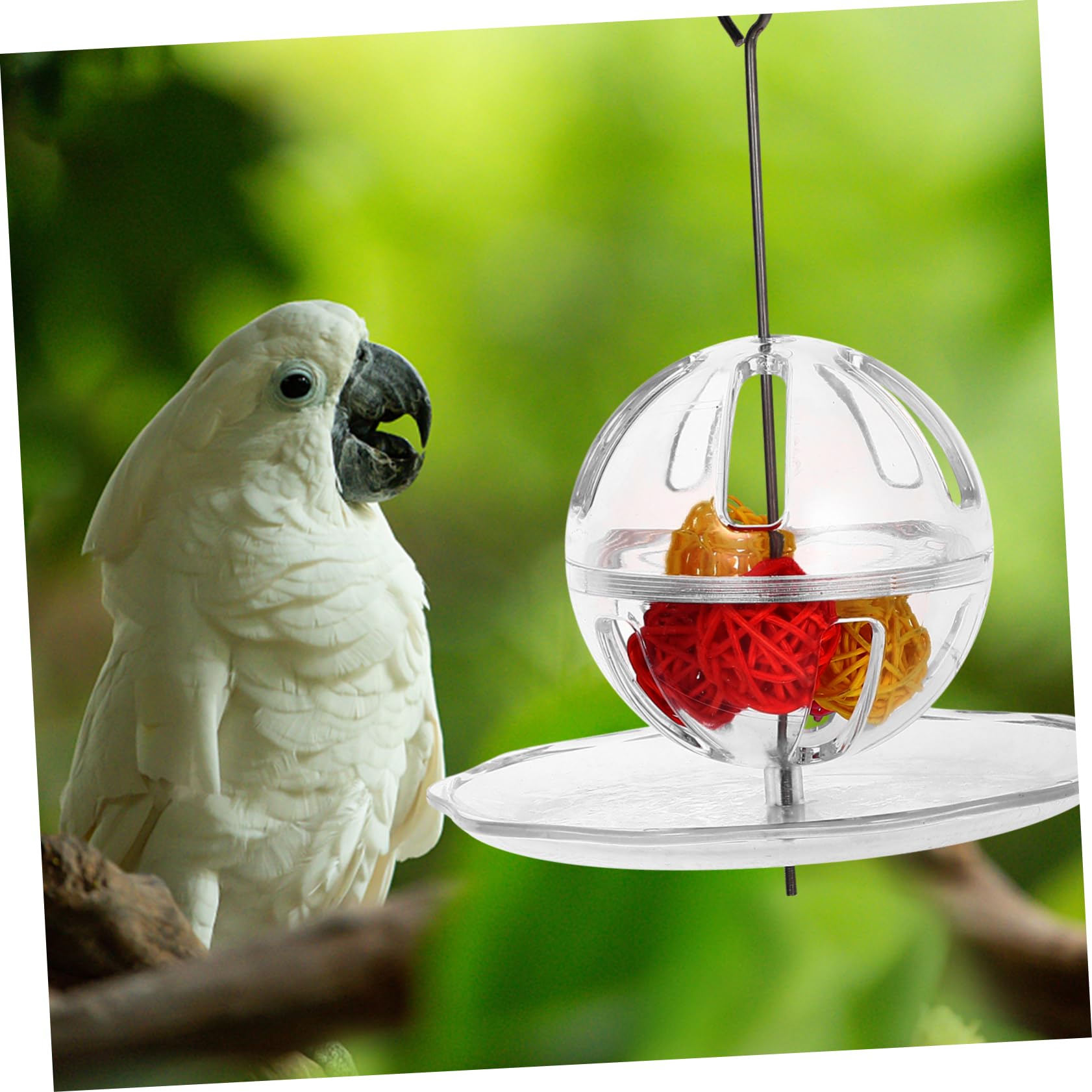 YARNOW 2 Pièces Boule de Recherche de Perroquet Jouets éducatifs mangeoire pour Cage à Oiseaux Jouets de Fruits Jouet écureuil Jouet à mâcher pour Oiseau mangeoire Suspendue pour Oiseaux