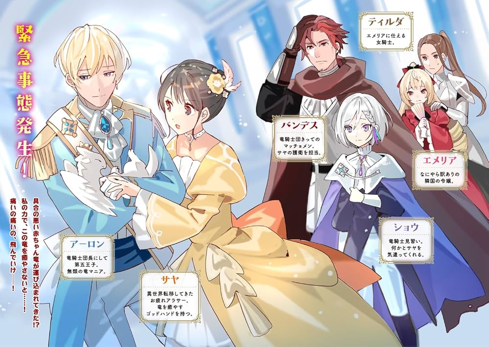 お疲れアラサーは異世界でもふもふドラゴンと騎士の世話をしています 1 お疲れアラサーは異世界でもふもふドラゴンと騎士の世話をしてい