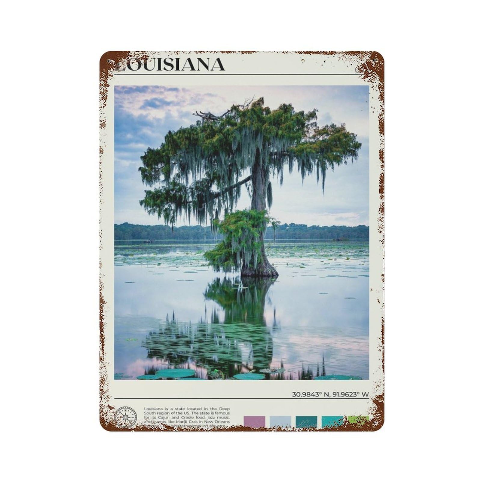 xiaoxiaoshen Real Photo Louisiana Decor USA Wall Decor Art Metal Tin Poster Modern Home Decor Art Home Bar Shop Decorations Vintage Sign 40x30cm