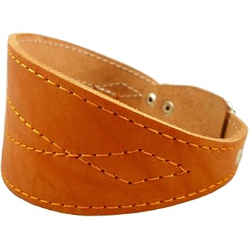 whippet puppy collar