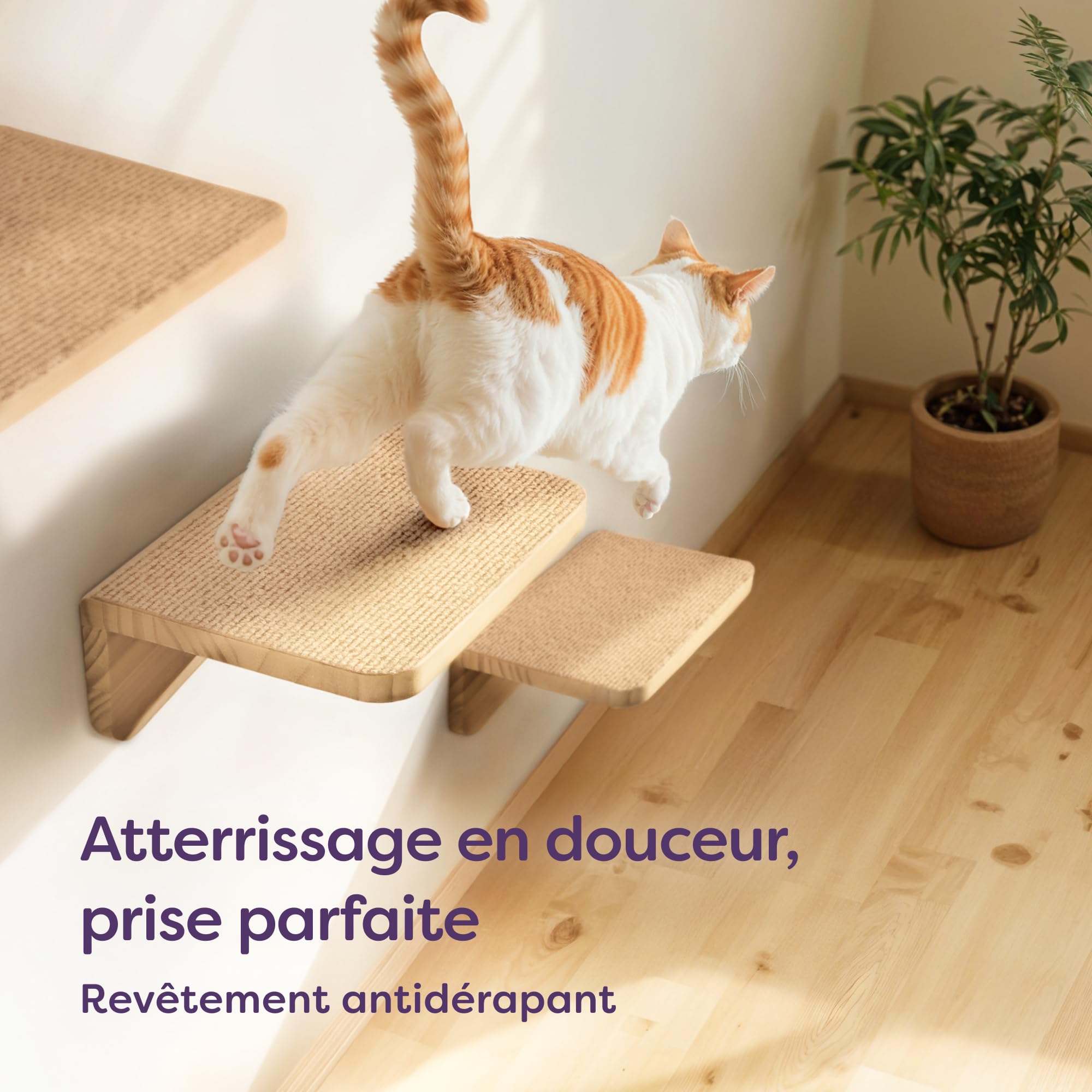 Knupis Mur d'escalade pour Chat Beige - 3 Escalier Mural pour Chat en Pin Fsc® - Non-tissé Antidérapant - Montage Facile - Charge Maximale Élevée Jusqu'à 30 Kg