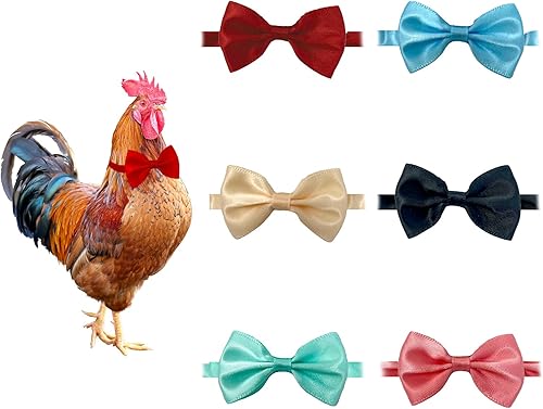 ComiMag 6 pajaritas de pollo, collar de gallo, collar de cuervo, arco de hámster, arco de loro, lazo de pájaro, lazo de animal pequeño, 12
