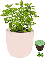 Vista 15 de Kit de cerámica rosa para cultivo de hierbas hidropónicas, kit de iniciación de jardín de cocina con riego automático con semillas orgánicas