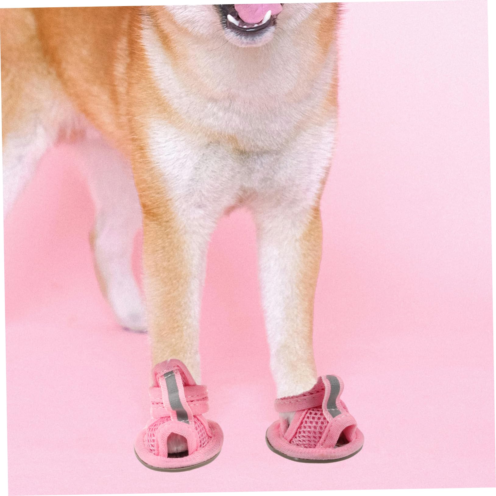 Sandales pour petits chiens - Chaussures d'été douces et respirantes - Semelle en caoutchouc antidérapante - Réglable - Pour la marche, la course à pied et l'extérieur