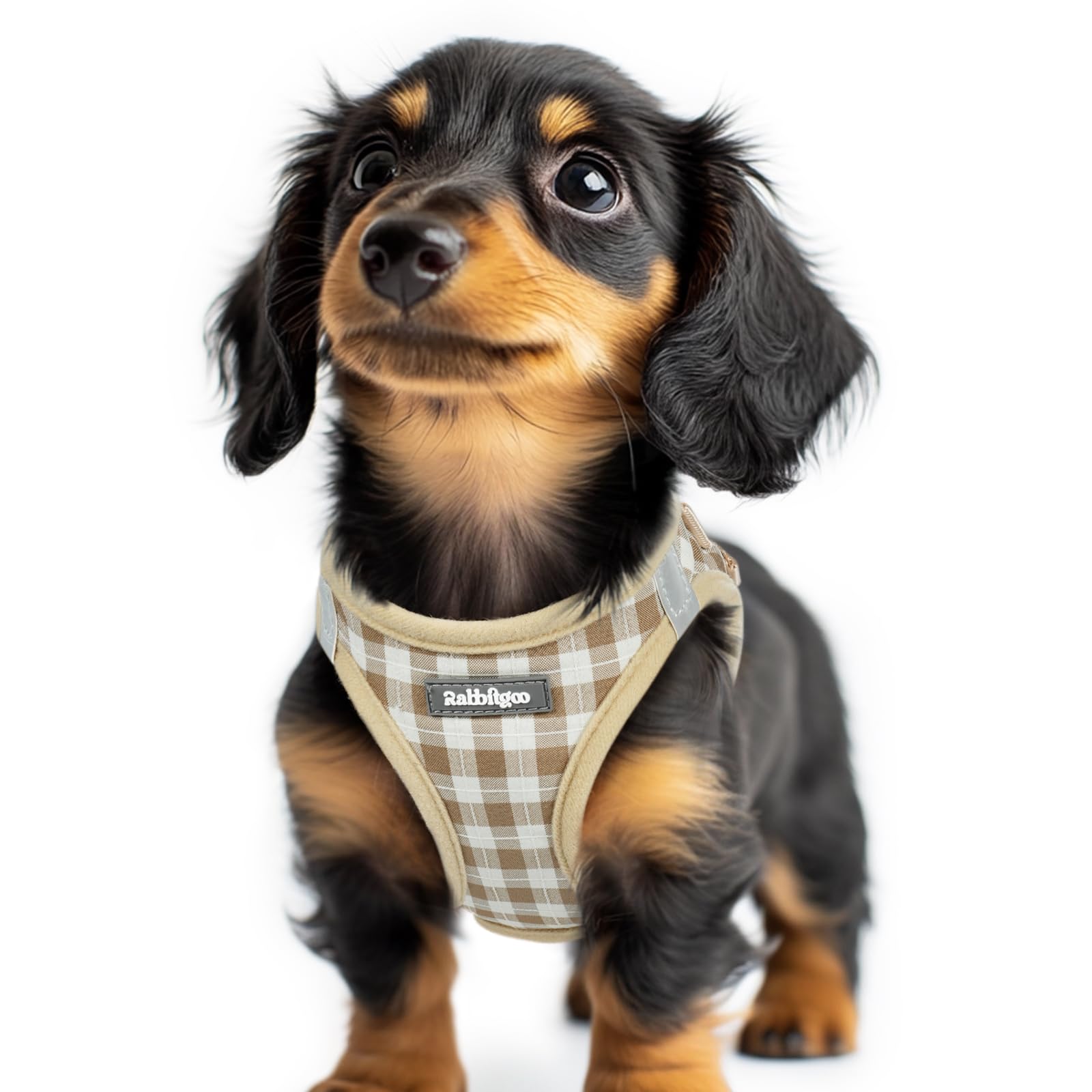rabbitgoo Dog Harness Small Dog, Step-in Soft Mesh Puppy Harness with Reflective Strips, Lightweight Breathable Pet Vest for Walking Training, Beige Plaid, XXS