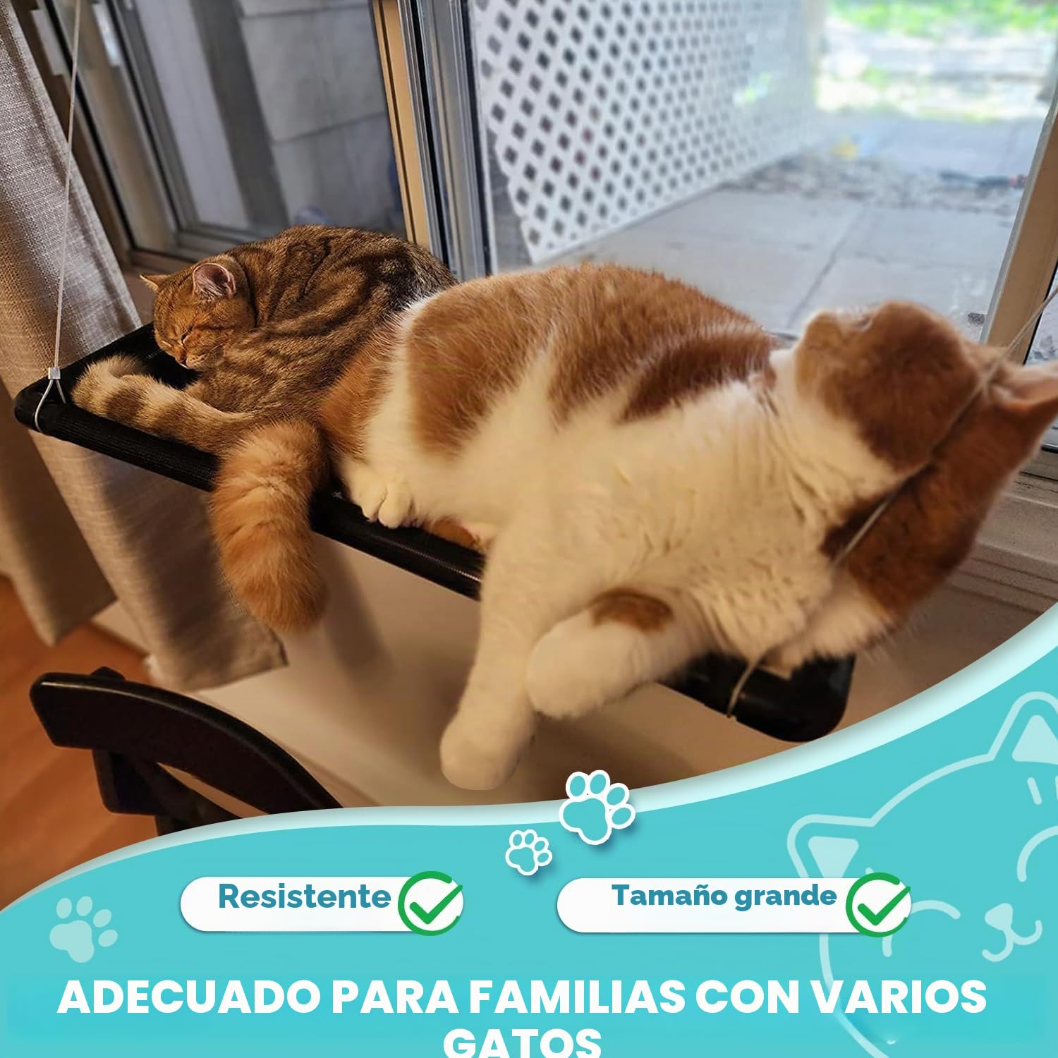 Dracarys Hamaca Gato Ventana | para Gatos Grandes de hasta 20 kg | Hamaca Reforzada con Fuerte Ventosa | para Tomar el Sol, Cama para Mascotas | para Grandes Ventanas