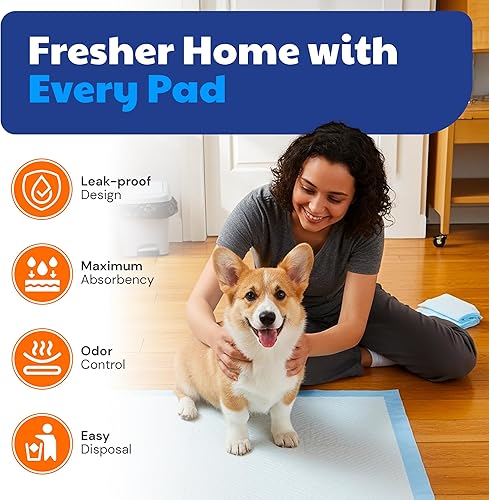 Miniatura 2 de American Kennel Club Almohadillas perfumadas de entrenamiento para cachorros con gel ultra absorbente de secado rápido, 28 x 30 almohadillas