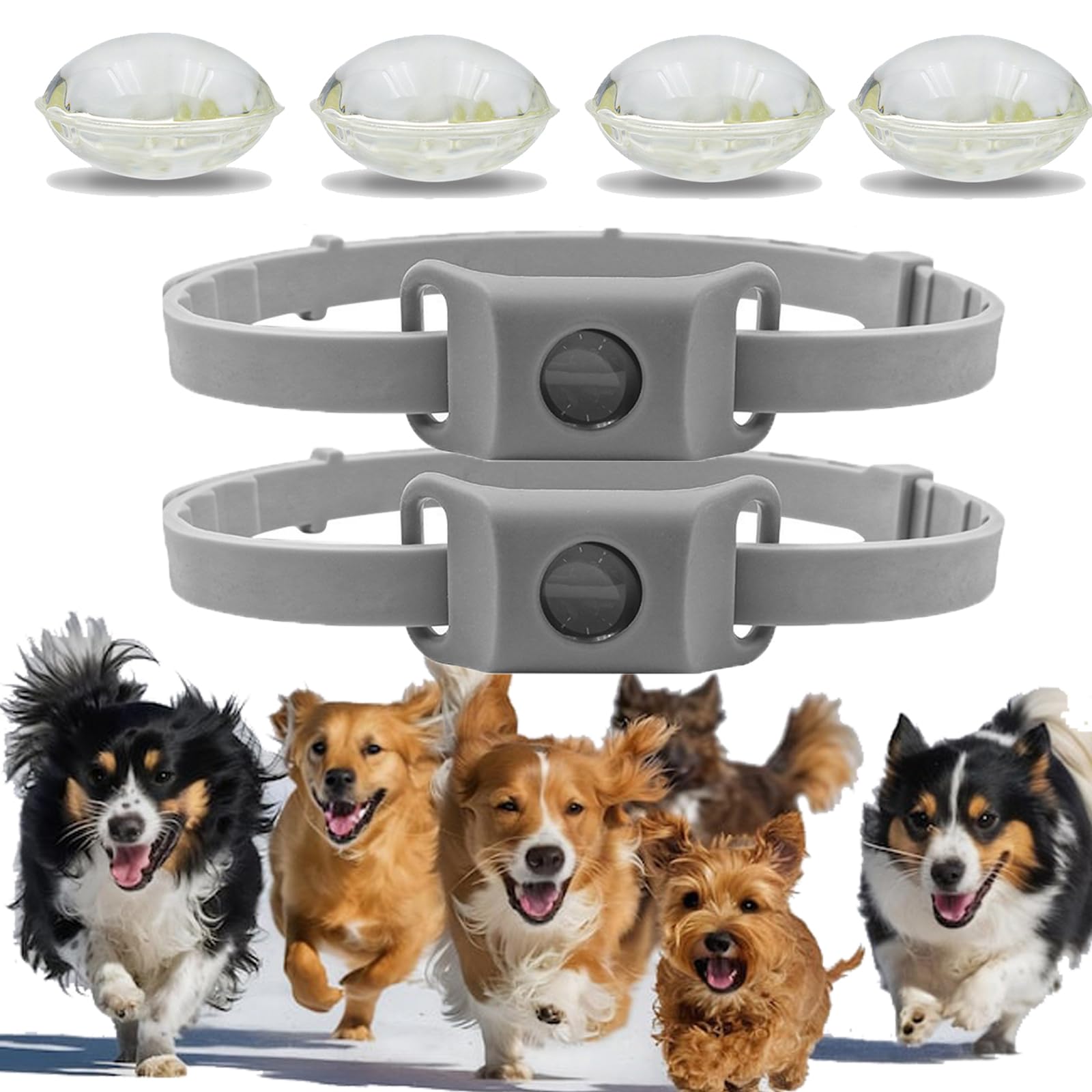 Collier anti puces pour chien étanche et léger avec sangle de réglage grise x2