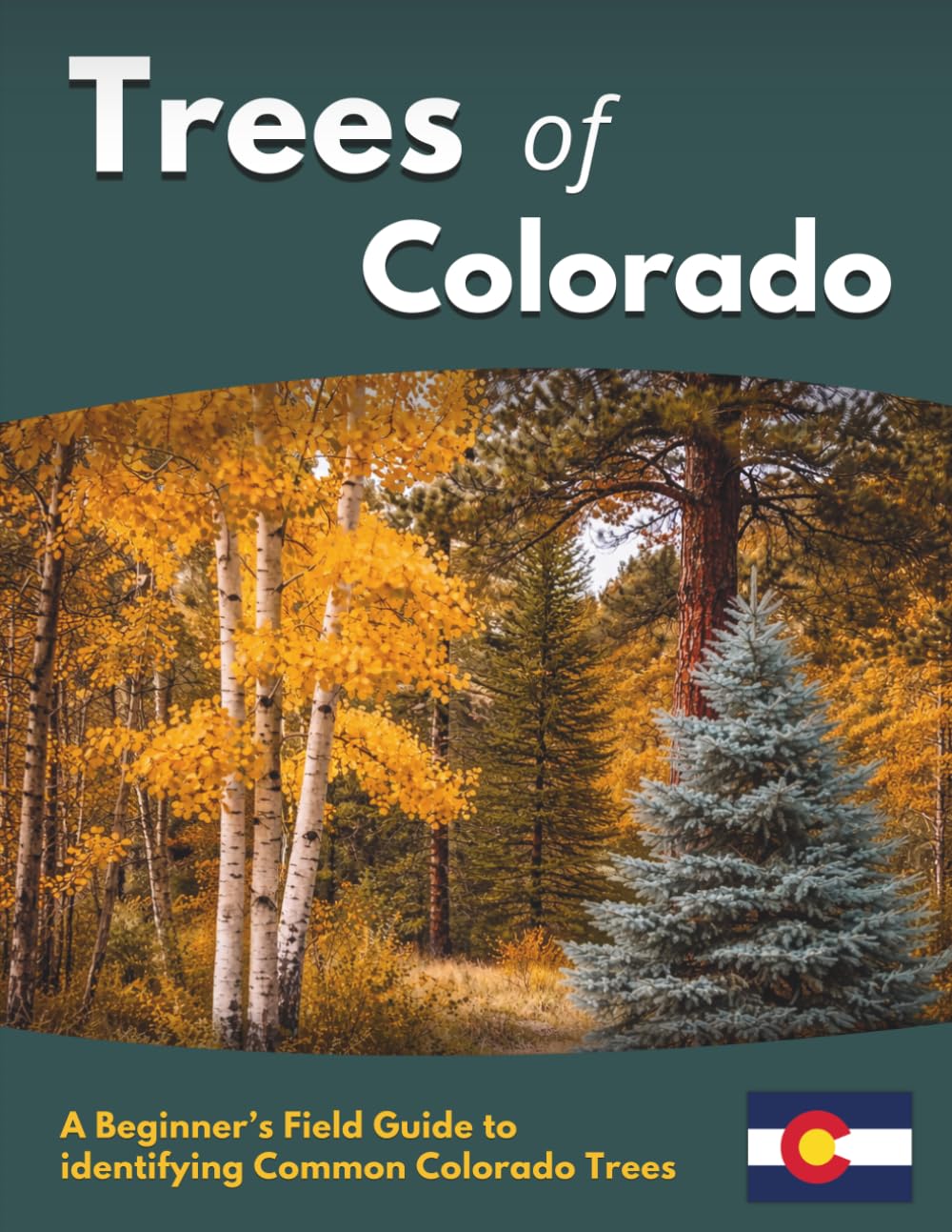 Trees of Colorado: A Beginner’s Field Guide to identifying Common Colorado Trees