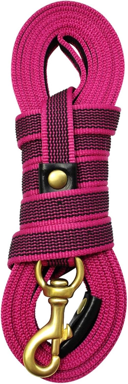 Primal Pet Dog Leash Long Dog Leash Nylon Non-Slip Dog Tracking Lead Leash for Medium Large Dogs Walking Training 2m 3m 5m Dog Leash (Color : A Size : 2m) (B 3m)