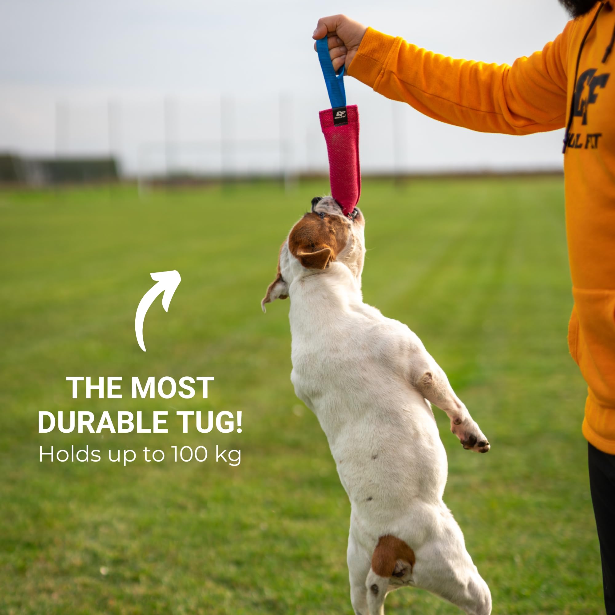 Bull Fit Szarpak dla psa 30 cm, z jedną rączką - Bardzo wytrzymała zabawka dla psów do treningu obronnego i kynologii sportowej - Mocny Szarpak z materiał ringowy, Aport Dummy (różowy)