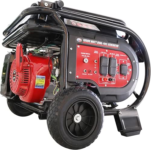 All Power America G10000EGL All Power 10000 Watt Dual Fuel