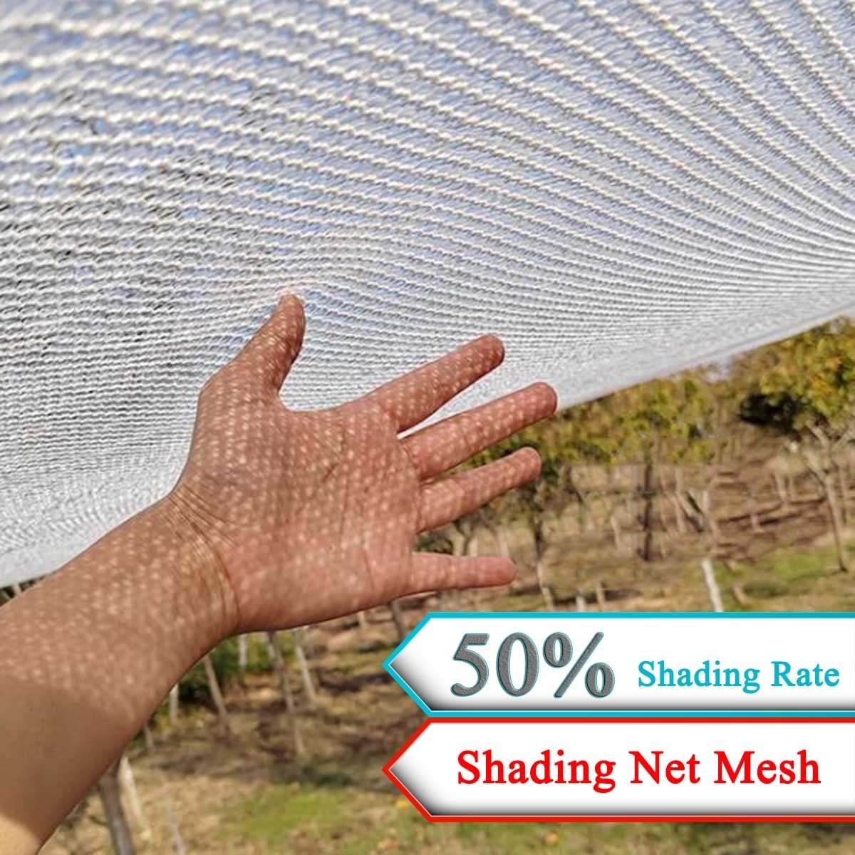 View 4