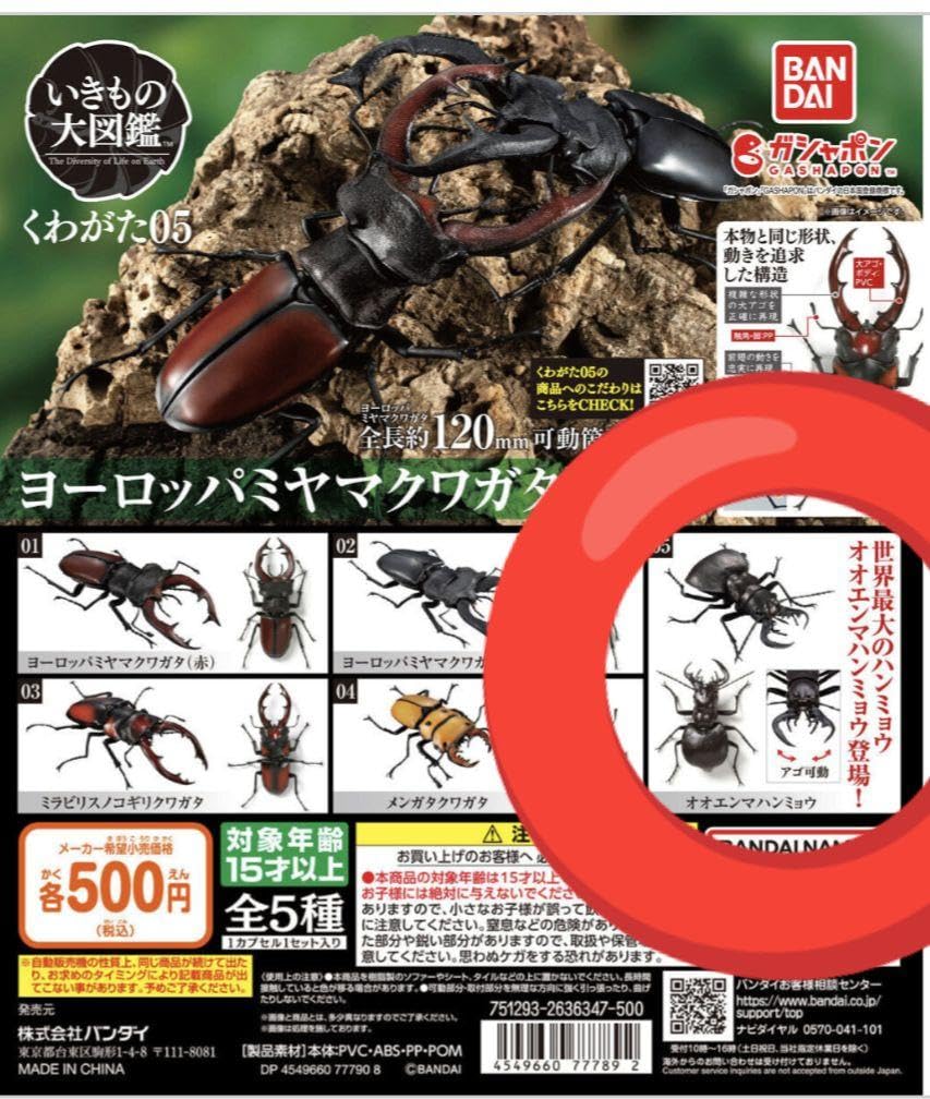 Amazon.co.jp: オオエンマハンミョウ いきもの大図鑑 くわがた05