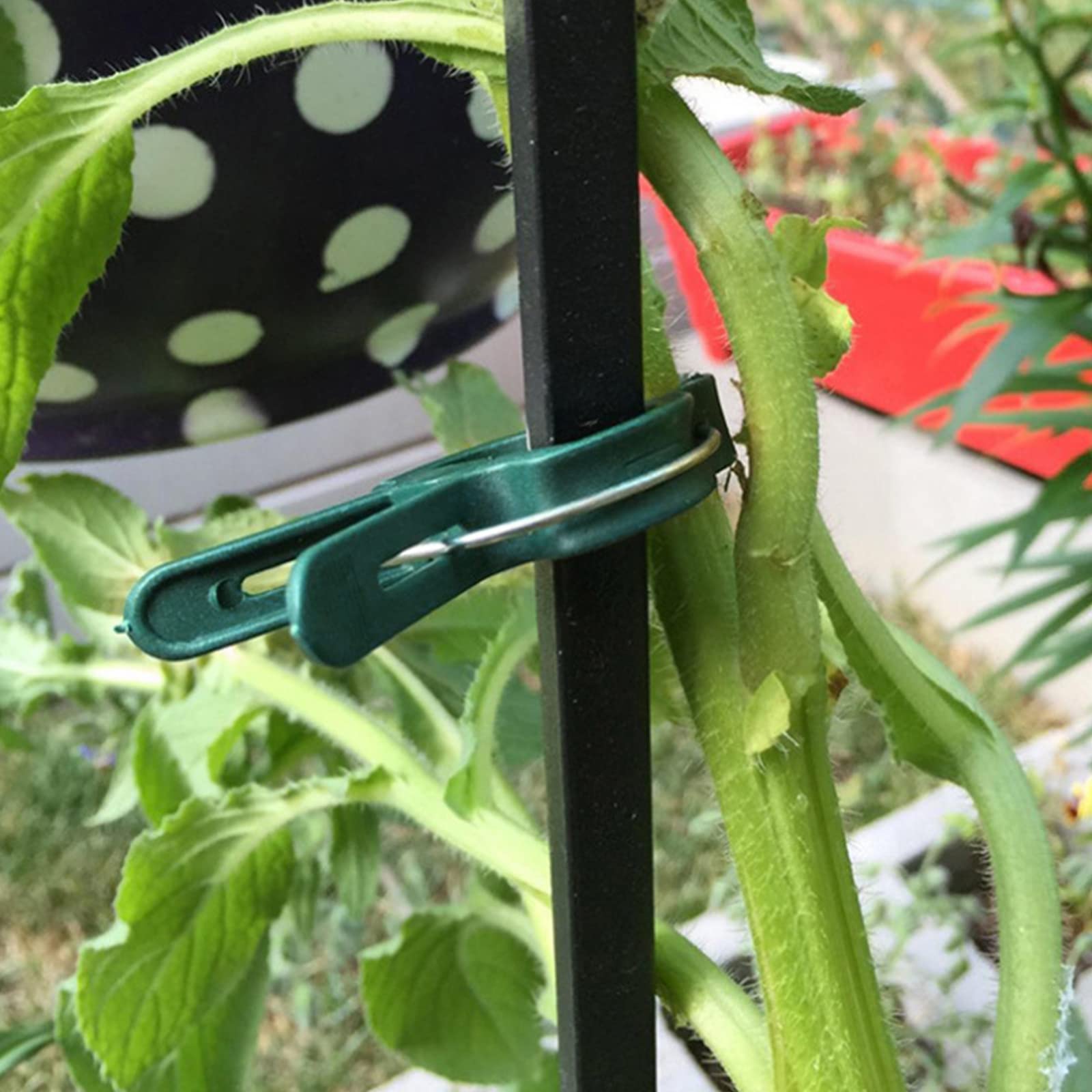 Botanopia Supporto Oro per Piante Rampicanti - Mini Plant Stake - Italia