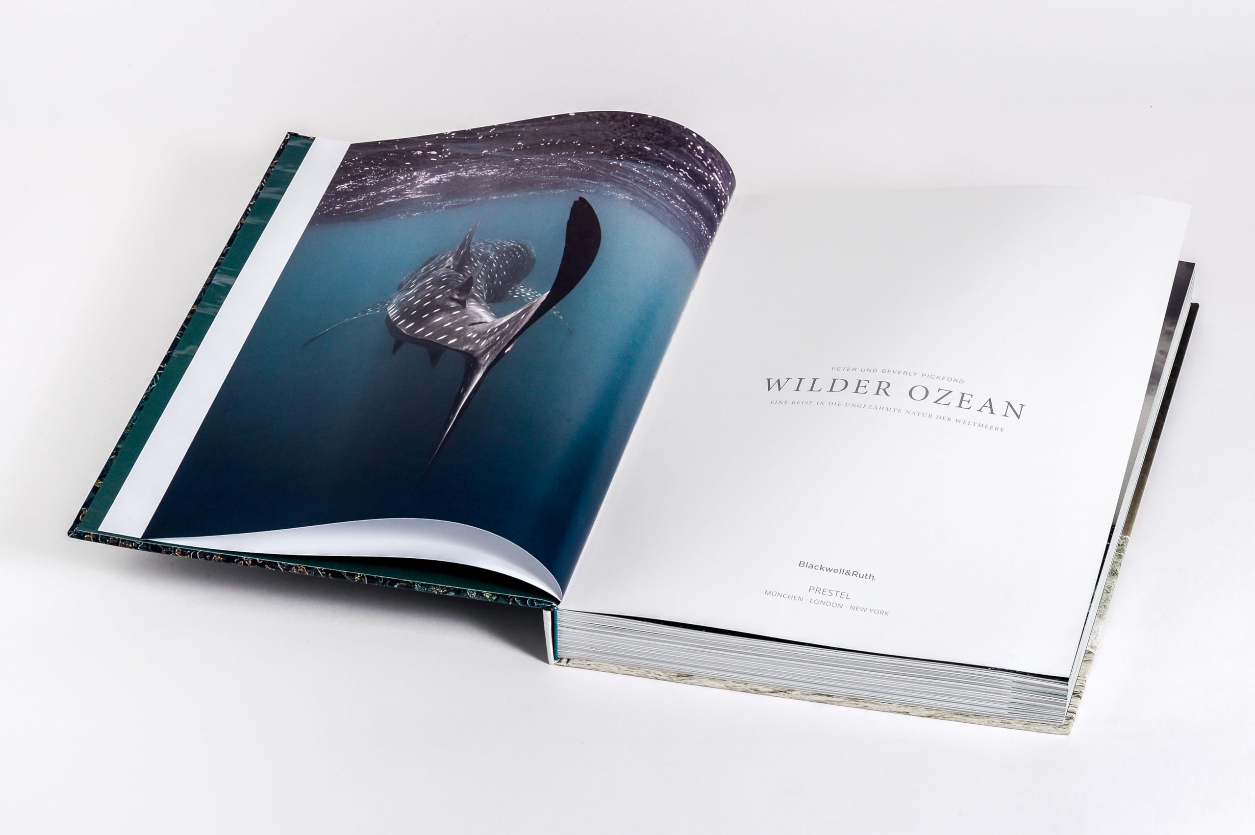 Wilder Ozean: Eine Reise in die ungezähmte Natur der Weltmeere. Opulenter Coffee-Table-Band mit über 200 faszinierenden Fotografien