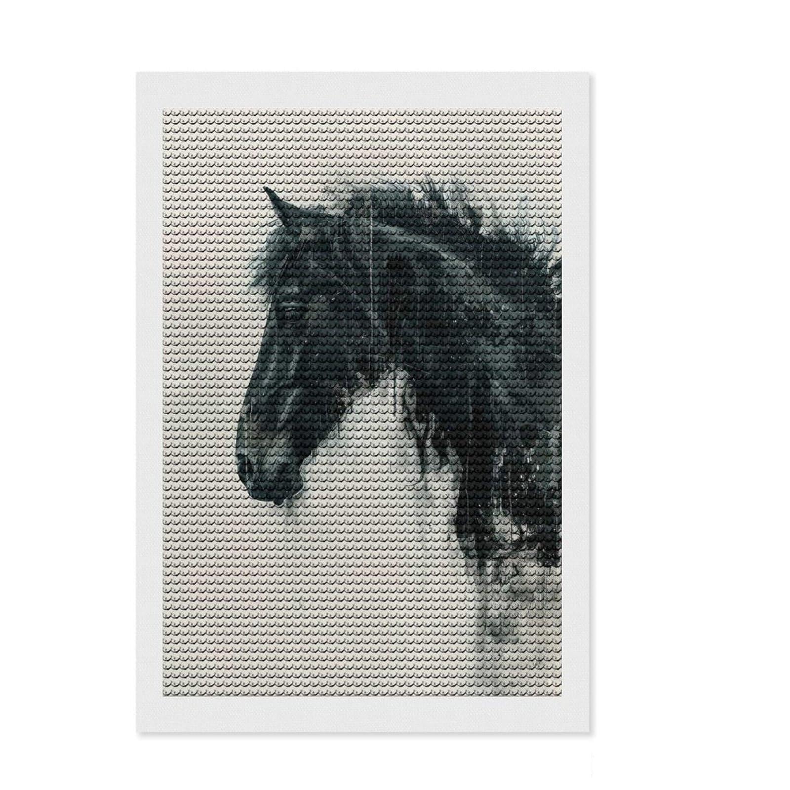 Junmoney Horse Painting Profile Art Diamond Art Canvas 8"x12", Stress Relief Craft, Neat Printed Canvas, Modern Decor, for Family Craft Time
