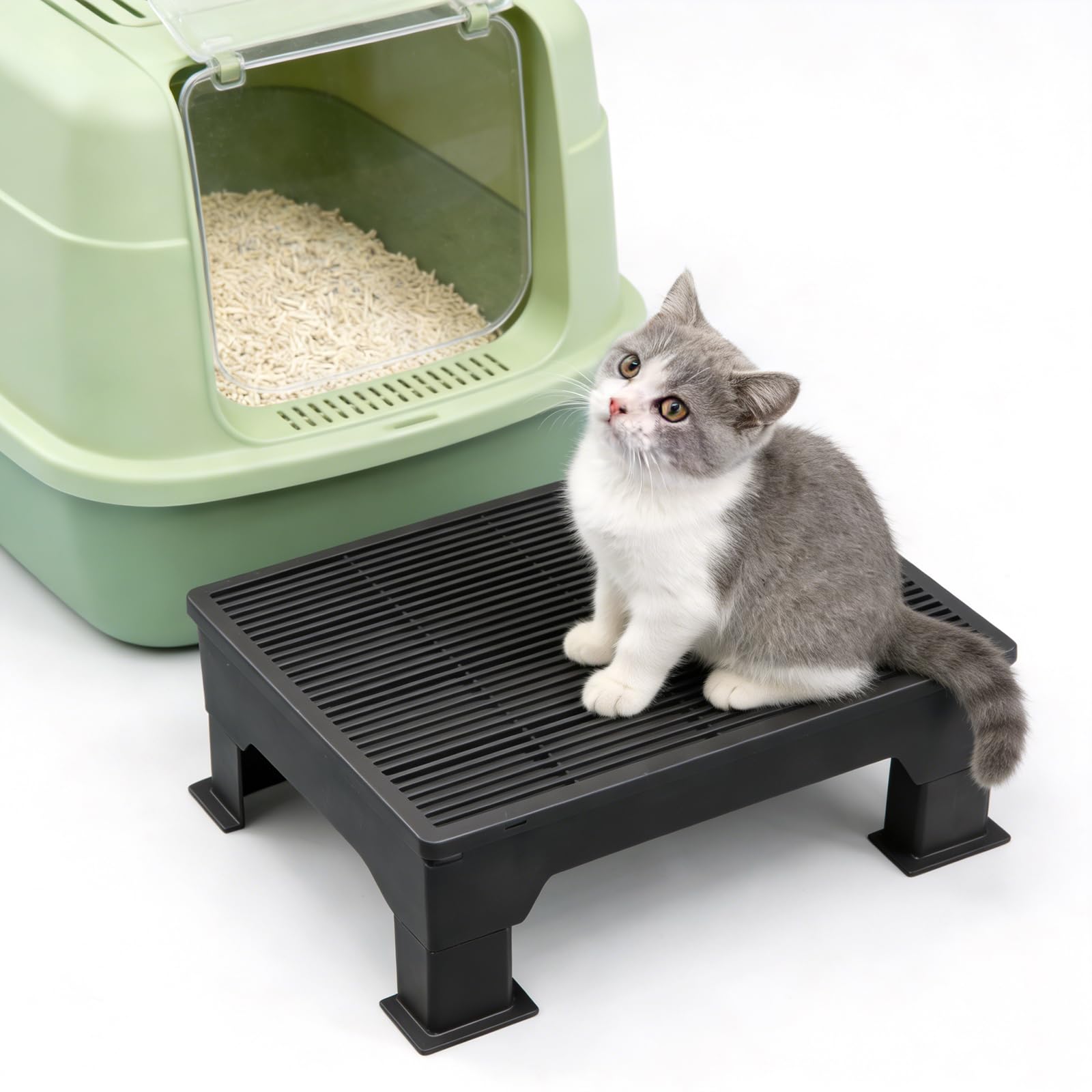 Marches pour chats de petite taille évitant la litière au sol
