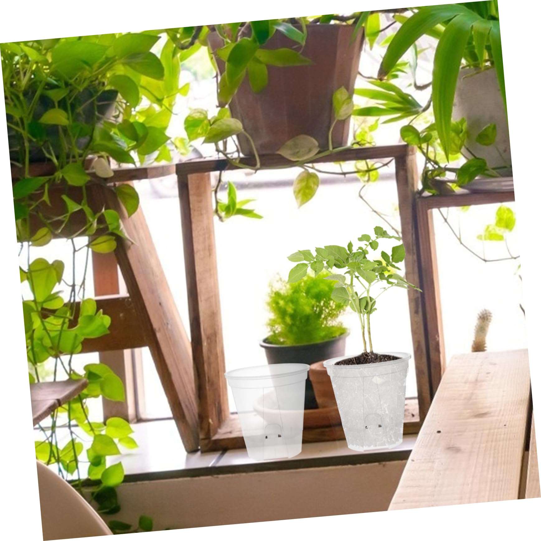 TOYANDONA 6 Pièces Pots de Fleurs Transparent Plastique Drainage pour Plantes Intérieur Pots de Jardinage Idéaux pour Plantes Vertes