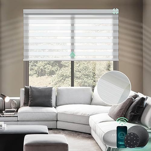 Yoolax Persianas motorizadas de cebra compatibles con Alexa, filtrado de luz, persianas transparentes de doble capa de día y noche, tamaño