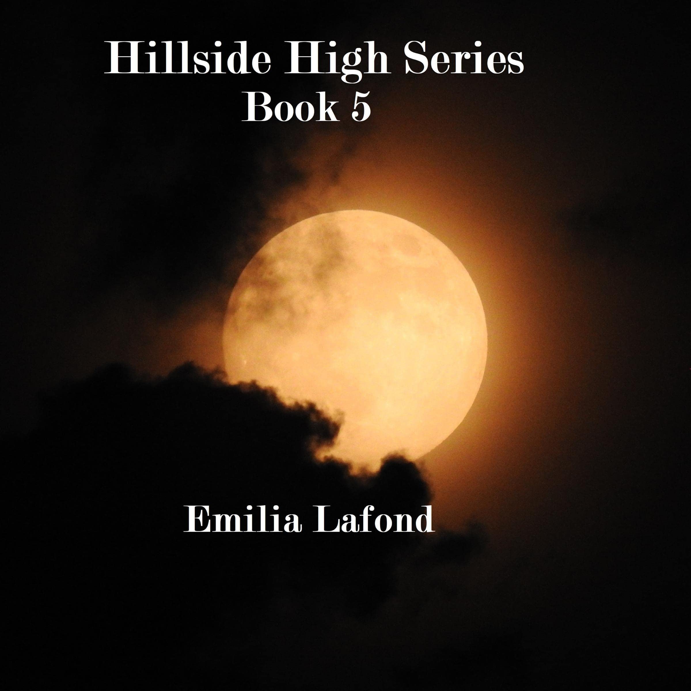 Cover art for Hillside High: Book Five