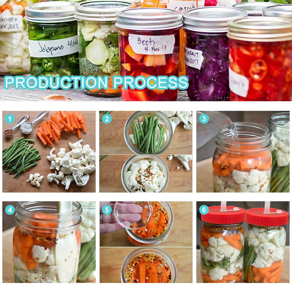 Buy Fermentation Airlock Lid Kit for Wide Mouth Mason Jars4 Air Locks