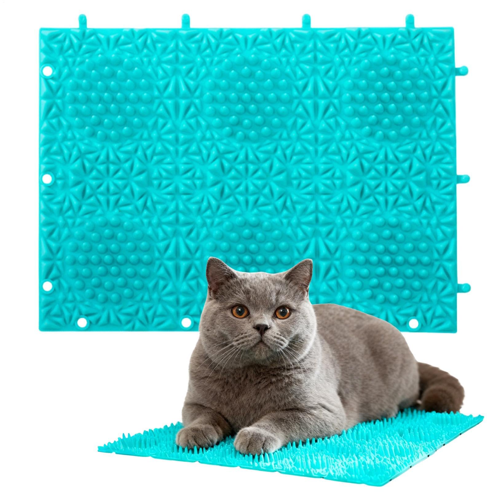 Cat Scratch Mat, Itchy Skin Relief Toy Rug, 9.7x7.1inch Massage Cat Scratch Carpet, for Grinding Claws Stress Floor Enrichment Play Activity Furniture Protection Indoor Bedroom Patio