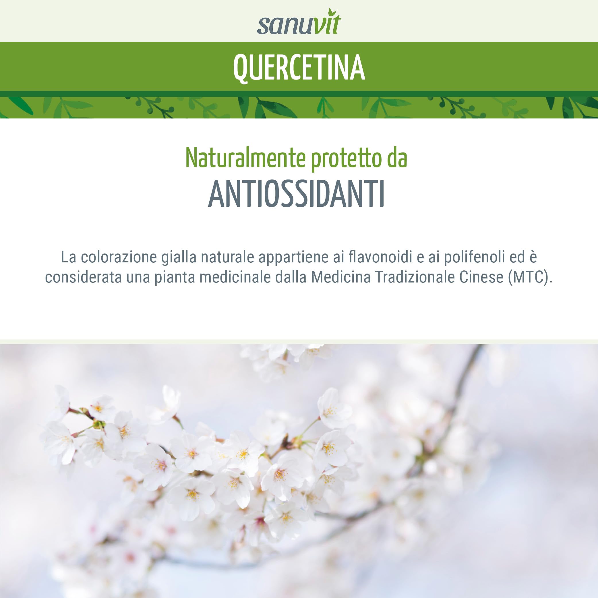 Sanuvit® - Quercetina 500 mg capsule | 120 capsule | Dose alta | Elevata biodisponibilità e tolleranza | Vegano