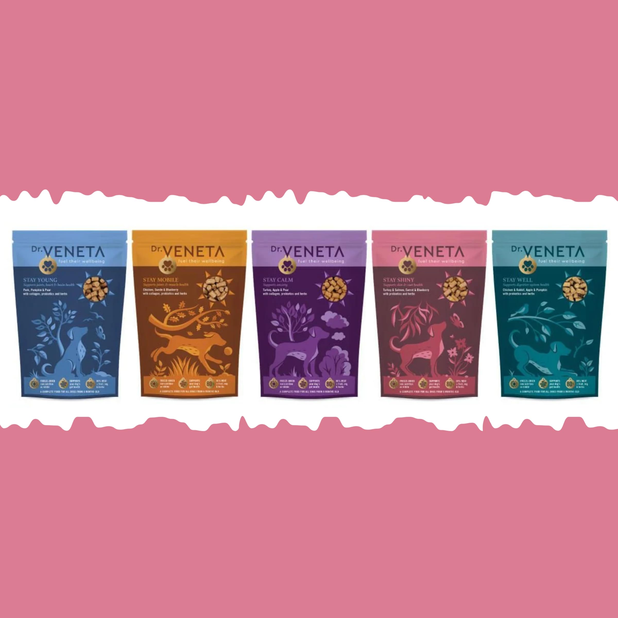 Dr. Veneta Freeze-Dried Raw Dog Food Wellness Set – 5 Premium Recipes, Complete & Balanced Nutrition, Variety Pack (2.5kg)