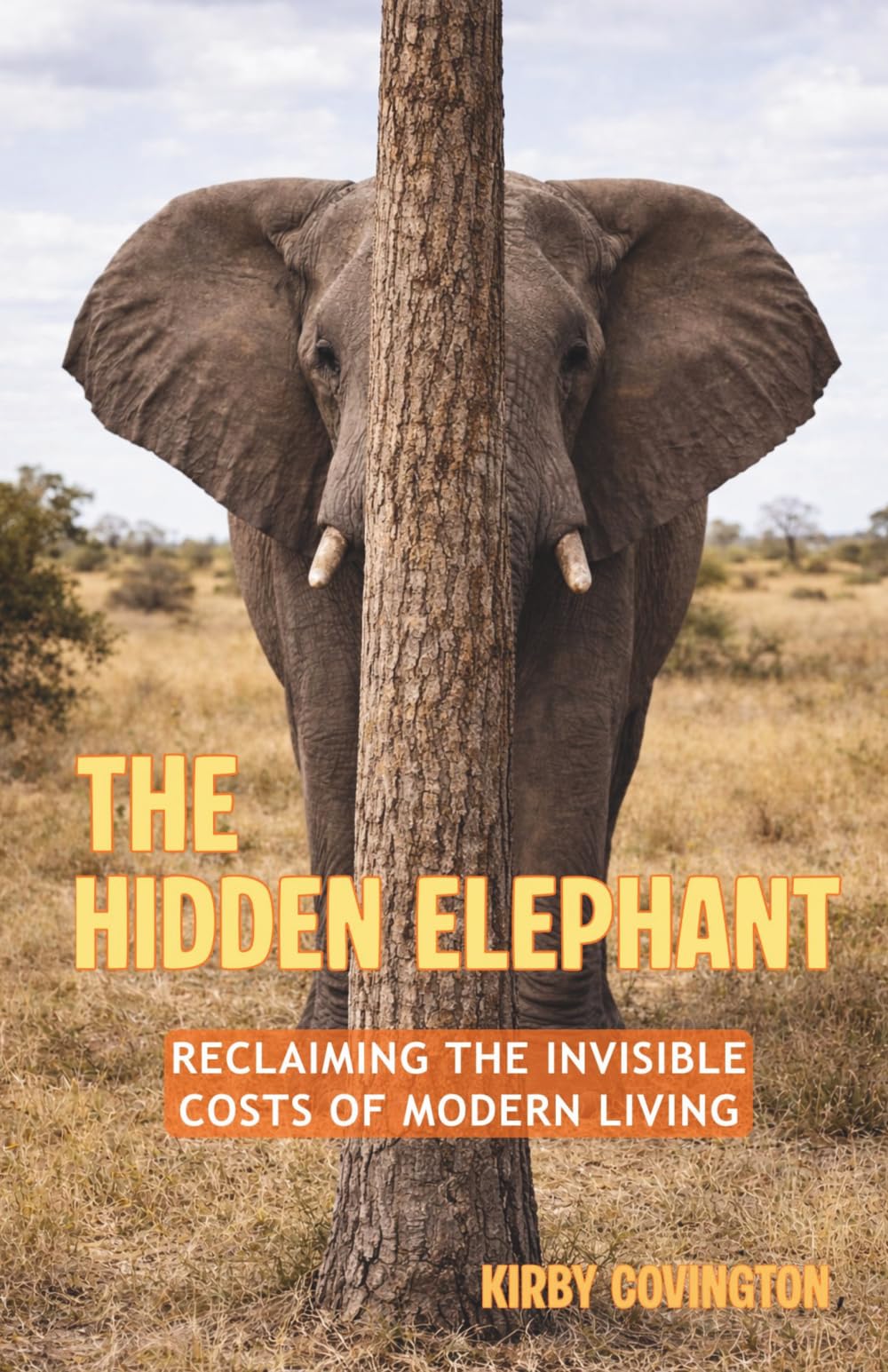The Hidden Elephant: Reclaiming the Invisible Costs of Modern Living