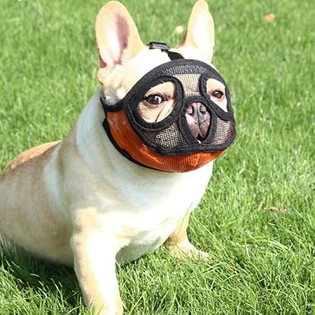 Amazon Petemoo 短い鼻の犬 ブルドッグのためのメッシュ犬の口輪 および噛む咀嚼訓練犬マスクのための短い鼻の品種 Petemoo マズル 口輪 通販 Amazon Petemoo 短い鼻の犬 ブルドッグのためのメッシュ犬の口輪 および噛む咀嚼訓練犬マスクのための短い鼻の品種 Petemoo マズル 口輪 通販