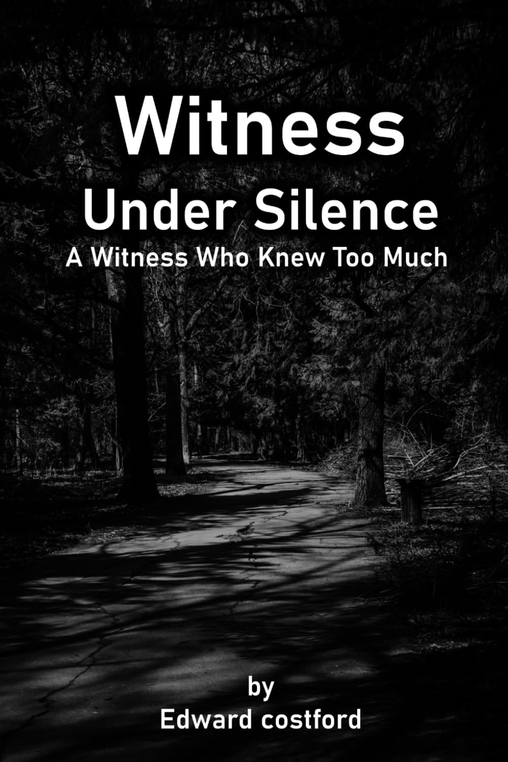 Witness Under Silence: A Witness Who Knew Too Much (Shadow Case Mysteries)