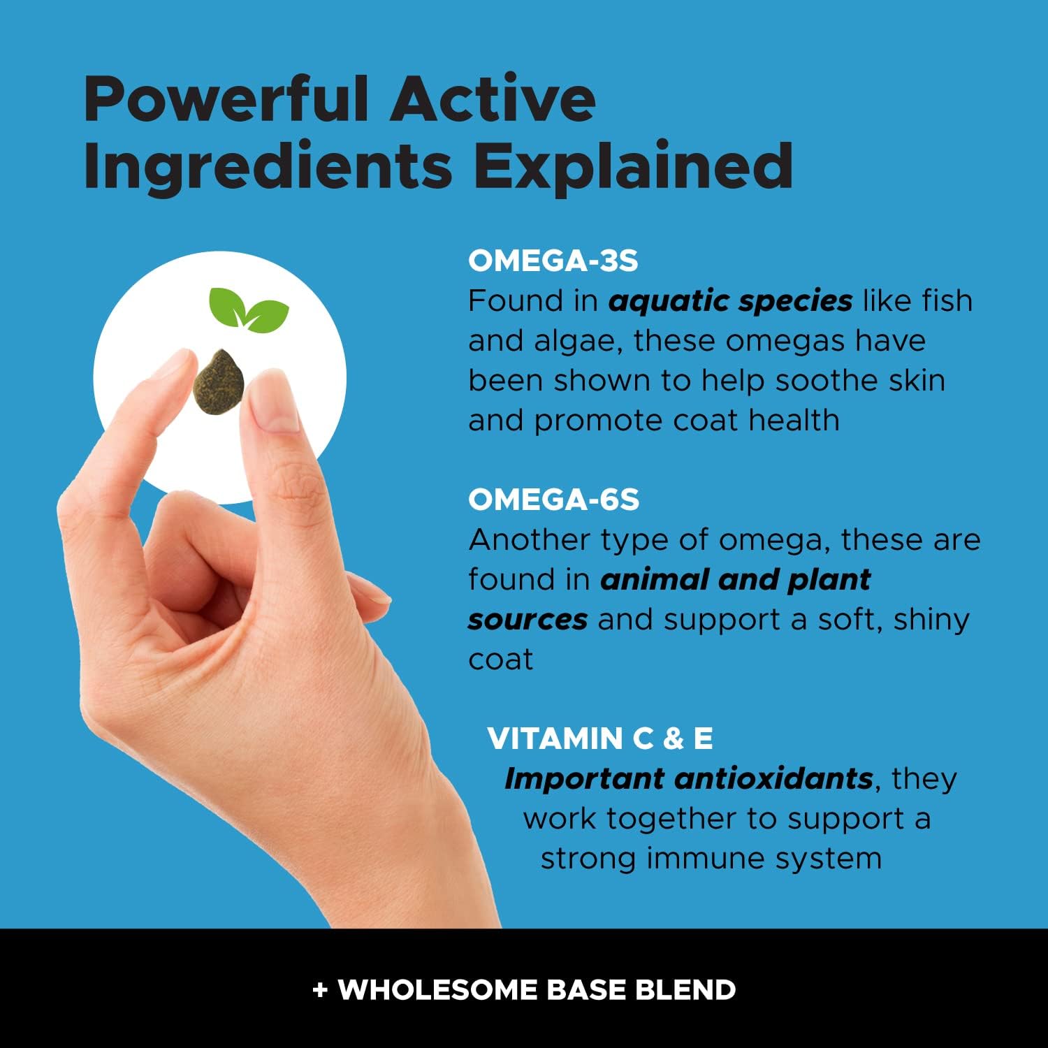 Chlorhexidine Shampoo + Skin Health Salmon Bundle - Itch Relief, Shiny Dog Coat, Dog Shampoo for Allergies, 100% Natural Fish Oil with Omega3s, Reduce Shedding, Healthy Skin & Coat