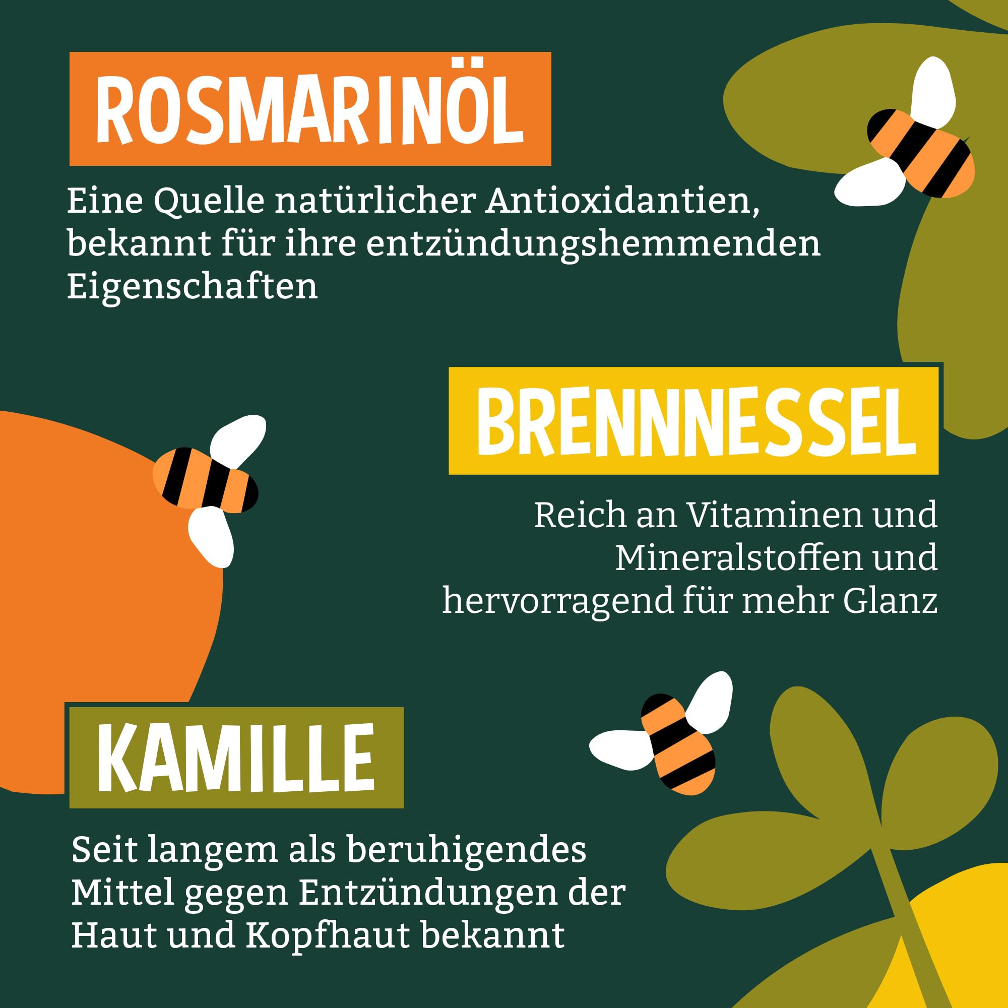 Faith In Nature Natural Grapefruit & Orange Shampoo, reinigend für fettiges Haar & Kopfhaut, vegan & tierversuchsfrei, ohne SLS, Silikone oder Parabene, 5L Nachfüllpack