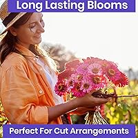 Vista 5 de NatureZ Edge Semillas de zinnia para plantar al aire libre 2026, más de 1600 semillas de flores, 0.35 onzas, sin OMG, fabricadas en Estados Unidos