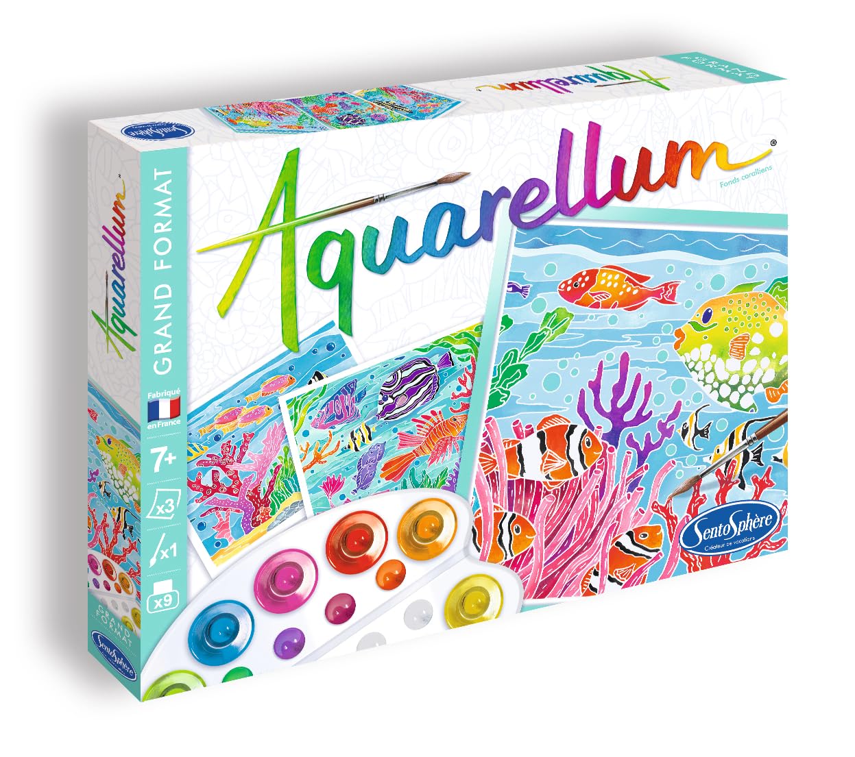 SentoSphère - Aquarellum - Fonds Coralliens - Kit peinture - Peinture Aquarellable Magique - A partir de 7 ans - fabriqué en France