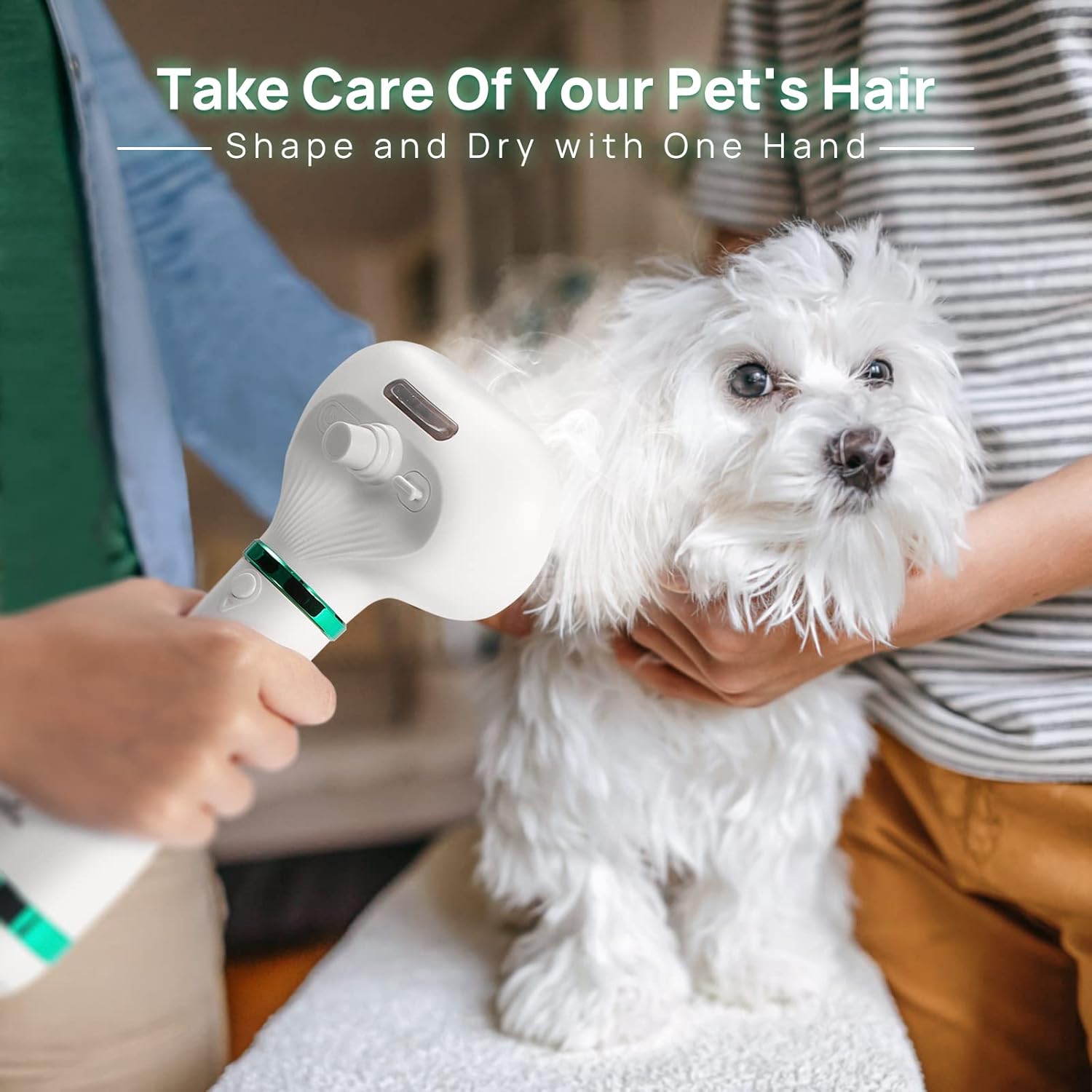 How Do You Moisturize A Dogs Hair