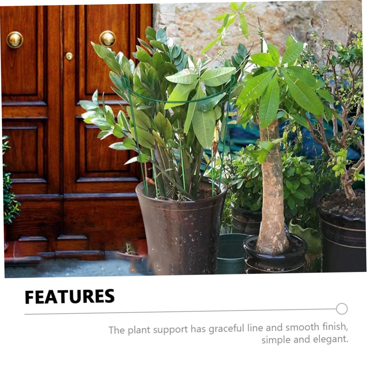 6 Piezas De Estacas De Soporte para Plantas Soporte para Plantas Soporte para Plantas Soporte para Plantas Semicircular Soporte para Plantas En Maceta Accesorio De Jardín