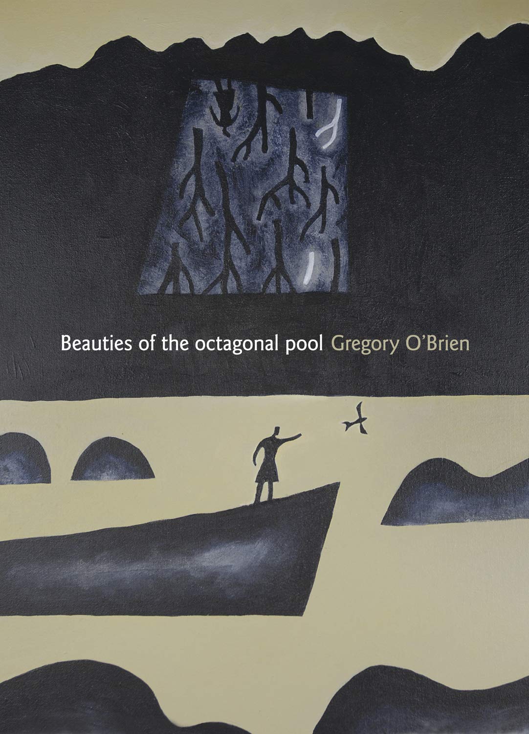 Amazon.com: Beauties of the Octagonal Pool eBook : O'Brien, Gregory: Books