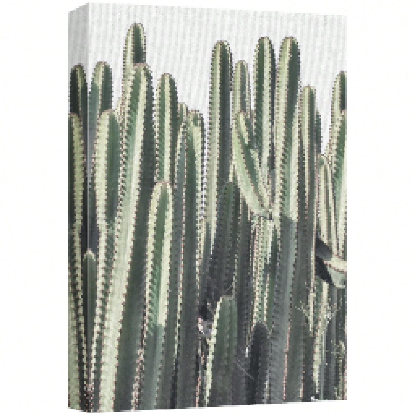 Impression sur toile de cactus désertique 60x80 cm pour salon - 8