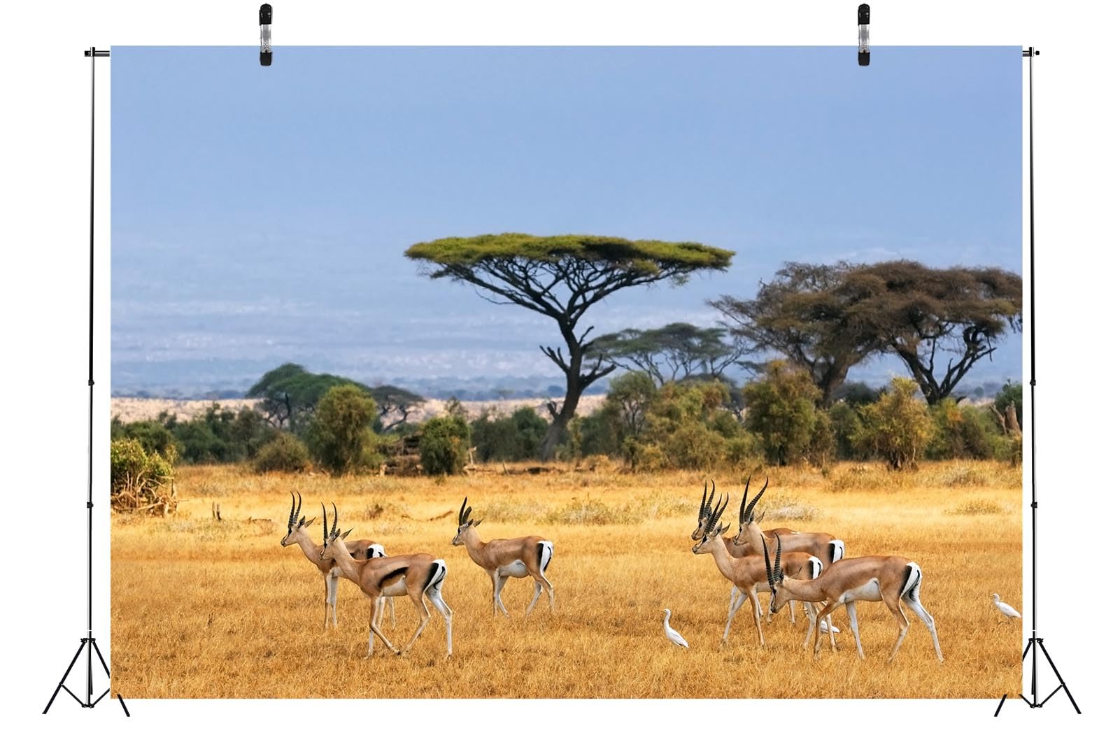 CORFOTO 8x6ft Fabric African Animals Backdrop Elephant