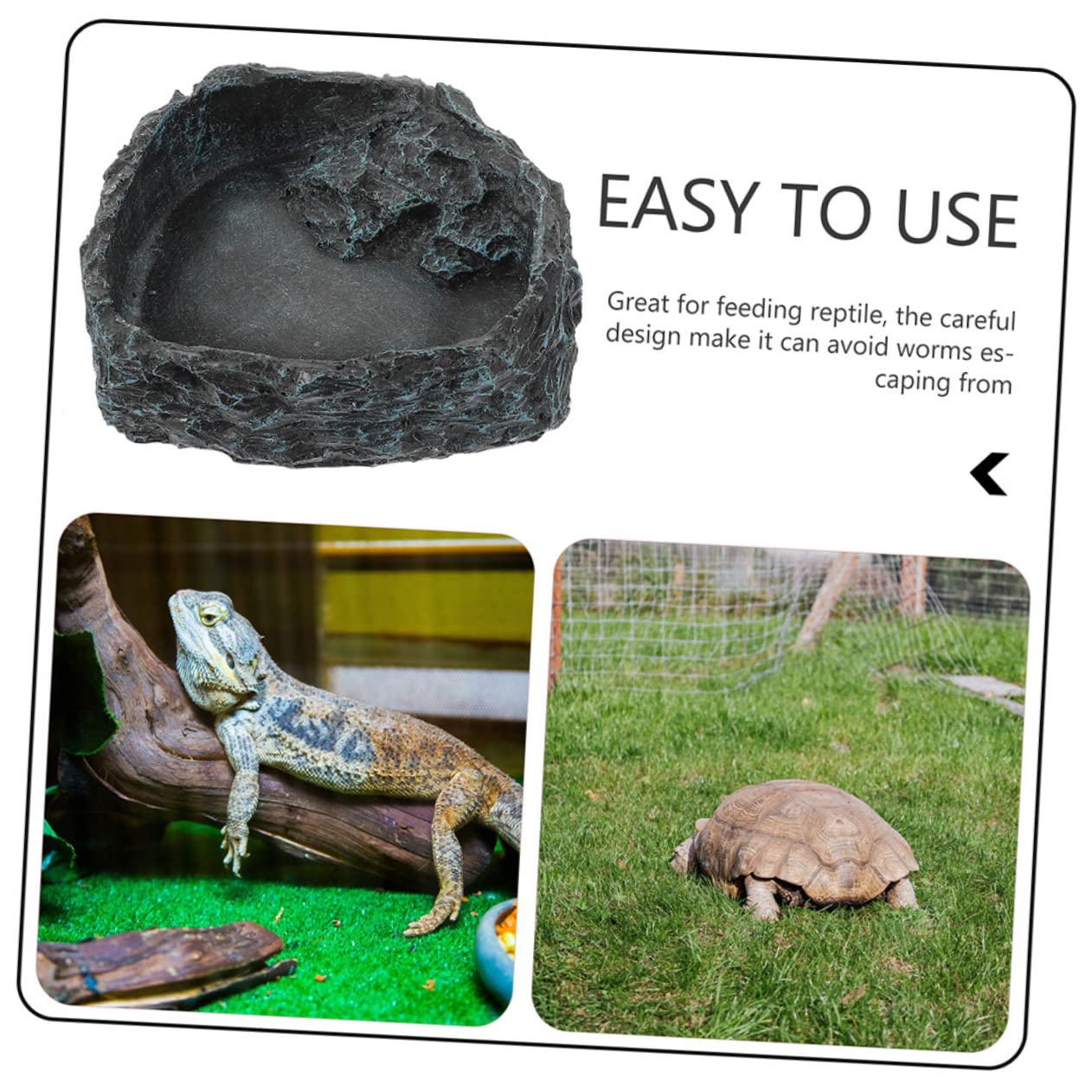 Cuenco de agua para reptiles Cuenco de alimentación for reptiles, Beard, 5 piezas, bandeja de agua for animales, cuenco de comida for lagartos, plato de comida for reptiles, plato de agua for serpient