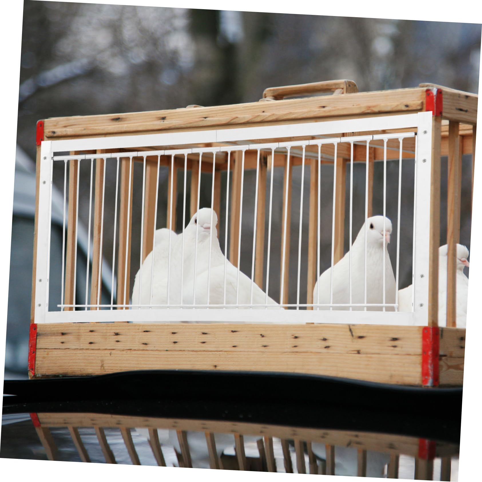 Puerta para Palomas Mensajeras de Hierro Reforzada, Puerta para Jaula de 50 Cm Diseño Encriptado, Adecuado para Palomares y Entrenamiento de Aves