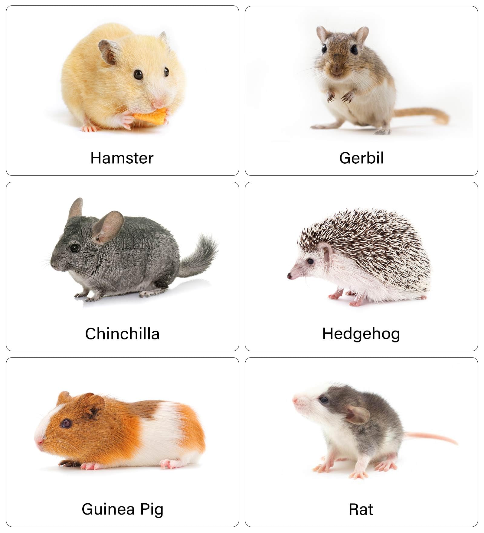 Caja de arena esquinera de cerámica para mascotas pequeñas, a prueba de puntas, resistente a las mordidas, perfecta para hámster, cobaya, deslizador de azúcar, erizo, hámster sirio, chinchilla,