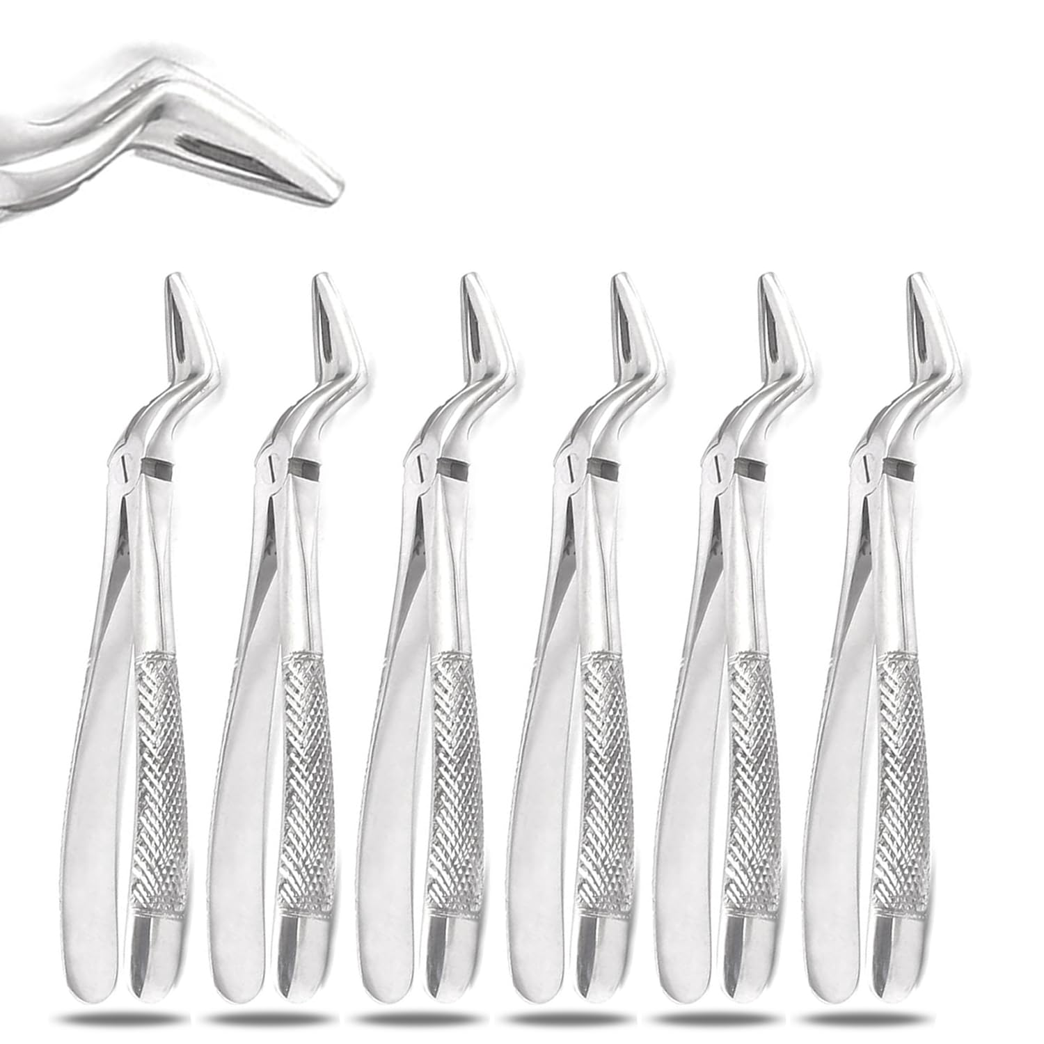 PRECISE CANADA: Set of 6 Dental EXTRACTING Forceps #51L Dental Extraction Instruments