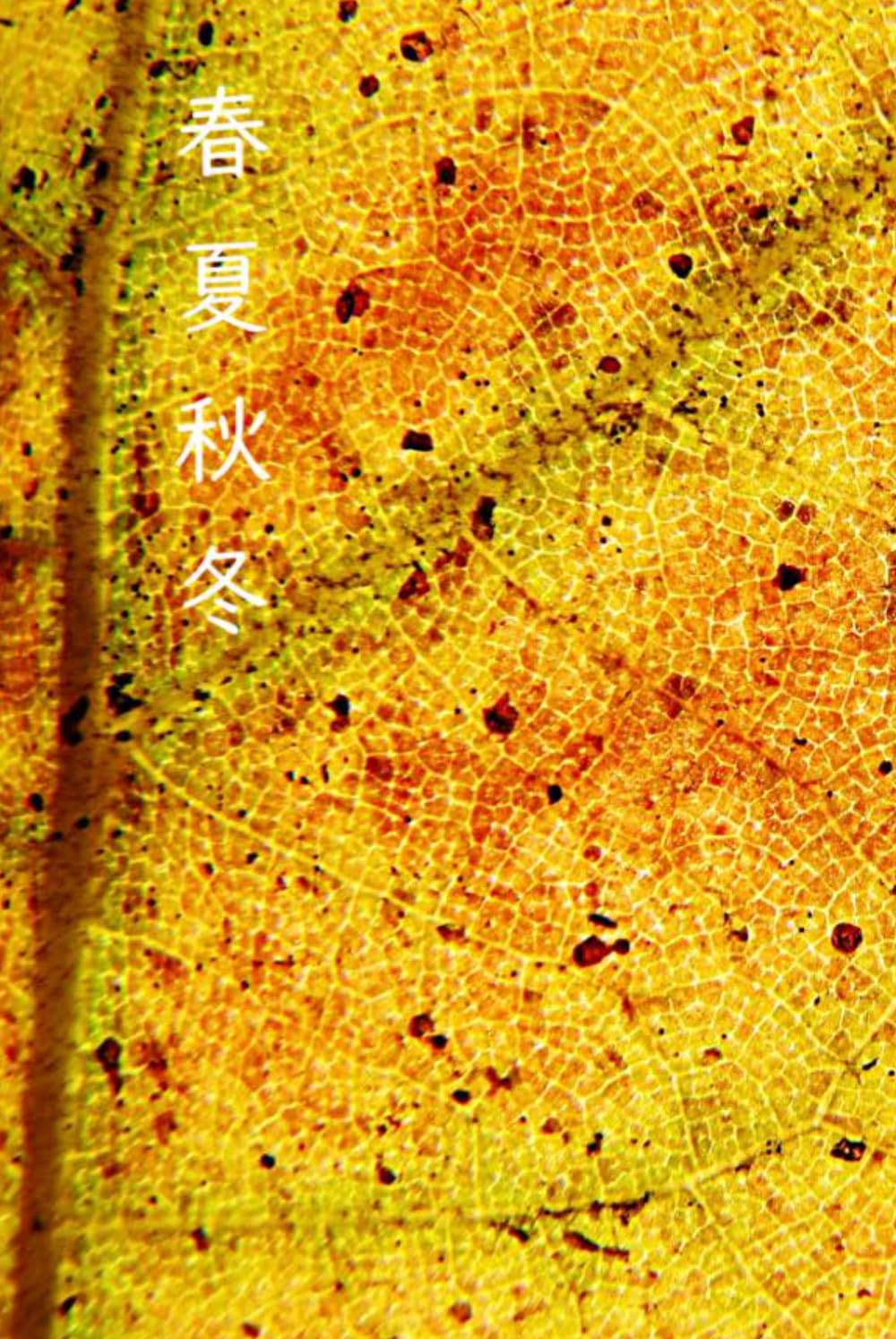 春夏秋冬
