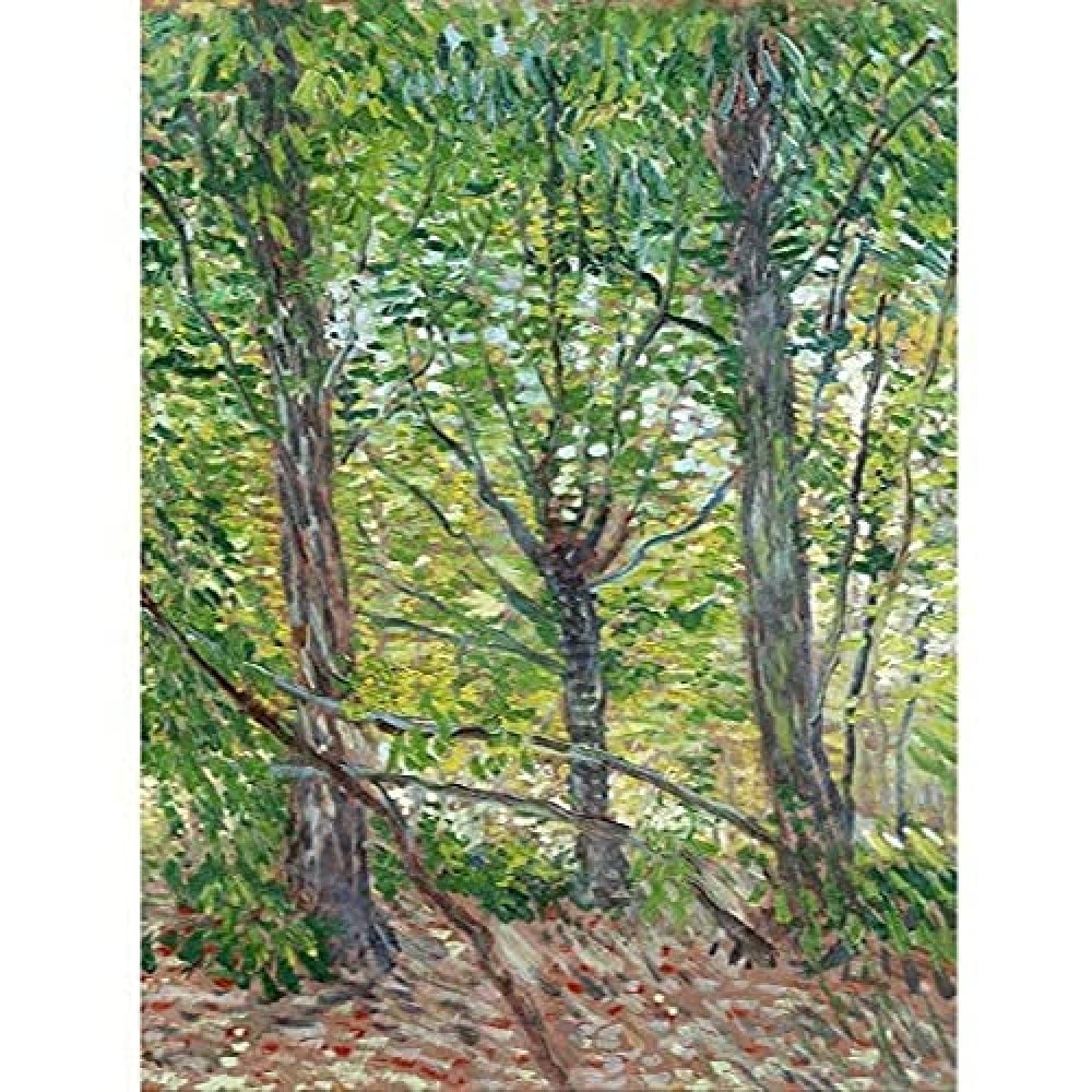 Vincent Van Gogh Trees and Undergrowth 1887 Unframed Wall Art Print Poster Home Decor Premium